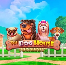 Boomzino Casino | The Dog House